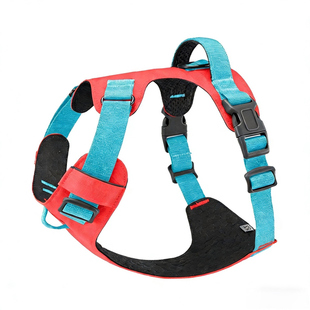 宠物专用2025新款狗狗胸背爱旺防咬防爆冲小大型犬防挣脱透气工字