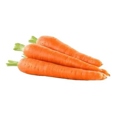 【一年四季生】耐热耐寒胡萝卜种子四季红萝卜种子夏秋播蔬菜种大