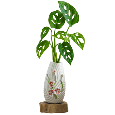 创意水培植物花瓶花盆