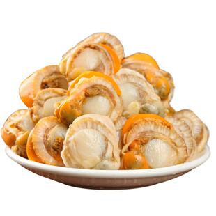 扇贝肉新鲜冷冻带黄特级大号扇贝海鲜红贝黄蚬子商用批发火锅食材