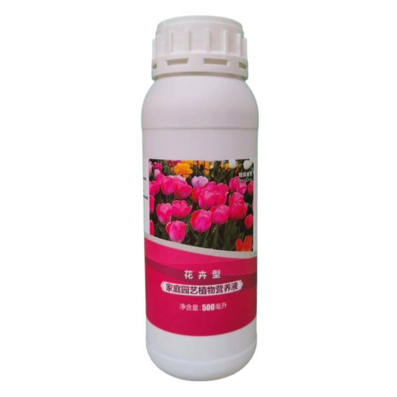 金心细叶金边百合竹浓缩营养液室内盆景栽绿植物专用水溶花卉肥料