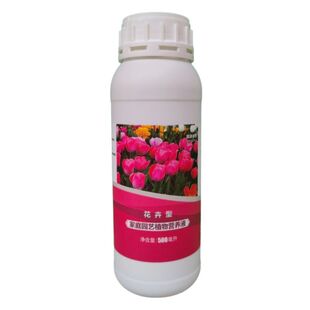 金心细叶金边百合竹浓缩营养液室内盆景栽绿植物专用水溶花卉肥料