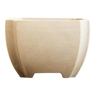 福建茶老桩绿植盆景盆家用粗陶发财树桌面造景六月雪微观盆带托盘