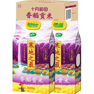 十月稻田东北大米寒地之最香稻贡米一年一季真空