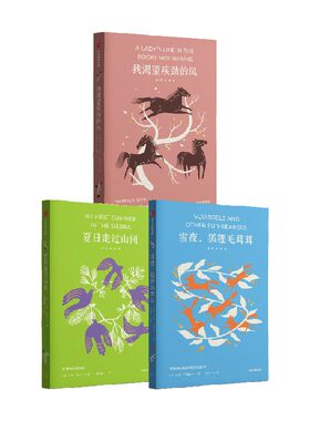 我渴望疾劲的风+雪夜，狐狸毛茸