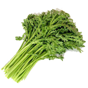 茼蒿菜籽菜种光杆茼蒿菜小叶大叶四季青菜种子皇帝菜蔬菜种籽