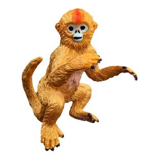 童德仿真猴模型儿童灵长类野生动物玩具猴子黑猩猩金丝猴猿猴猕猴