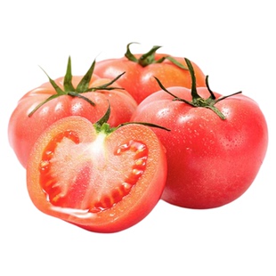 【YIKECAI】西红柿500g新鲜大番茄沙瓤可生吃自然熟孕妇水果小粉