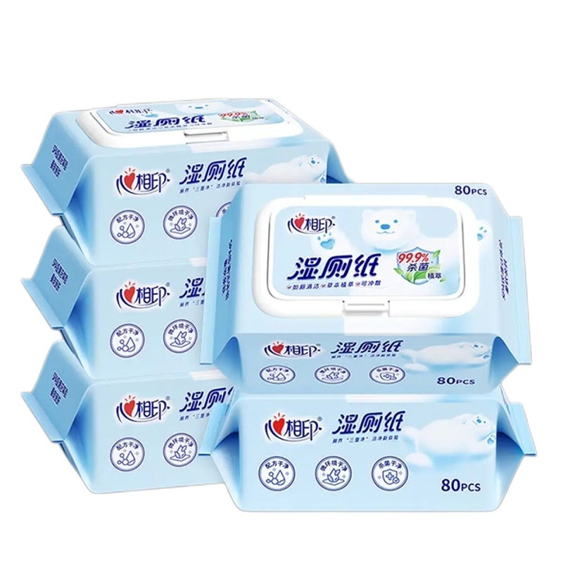 心相印私护专用湿厕纸5包