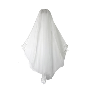 领证登记手工新娘头纱 超仙高透白色单层蕾丝结婚礼服旅拍高级感