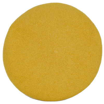 休闲贝雷帽女羊毛加厚保暖秋冬