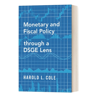英文原版 Monetary and Fiscal Policy through a DSGE Lens 基于DSGE模型的货币与财政政策 英文版 进口英语原版书籍