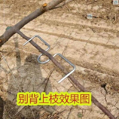 果树拉枝定型器通用弯曲卡子拿弯器拉直分枝农业盆景园整枝器的