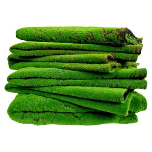 仿真苔藓仿生草皮盆景铺面室内造景人造青苔皮假山装饰植物绿植