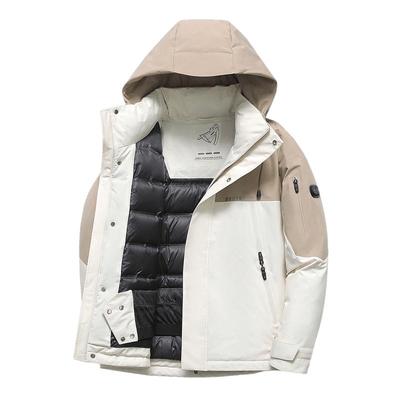 x301418162fSNOWFLYING/雪中飞