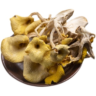 四川黄金菇干货200g鸡油菌榆黄菇香菇蘑菇大凉山特产黄丝菌金顶蘑