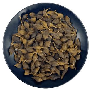 连翘中药材秦岭莲翘青翘青连翘茶正品新鲜非野生干货搭金银花茶粉