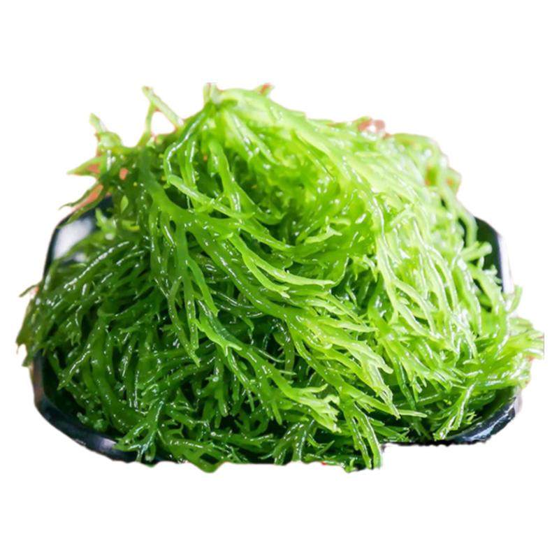龙须菜新鲜海菜海藻火锅凉拌菜石花菜食材海草发菜批发食品包装