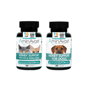 AminAvast胺肾犬猫氨基酸胶囊300mg肾功能支持宠物保健品