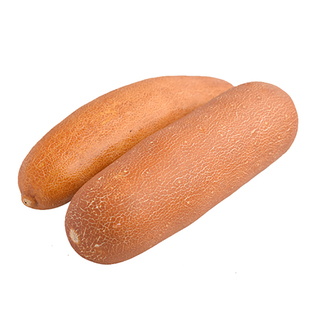 麻皮黄瓜种子 东北老黄瓜秋黄瓜耐热春季夏季秋季四季播高产包邮