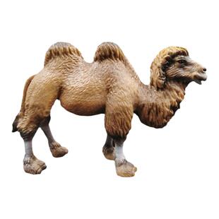 童德仿真动物玩具模型实心双峰骆驼单峰骆驼公母小骆驼儿童摆件