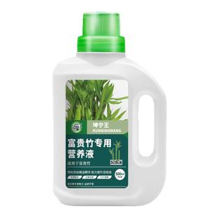 富贵竹专用营养液水培植物生根竹子观音竹转运竹营养液治叶子发黄