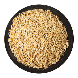 内蒙古燕麦米生燕麦仁农家裸燕麦新米全胚芽米燕麦粒五谷杂粮粗粮