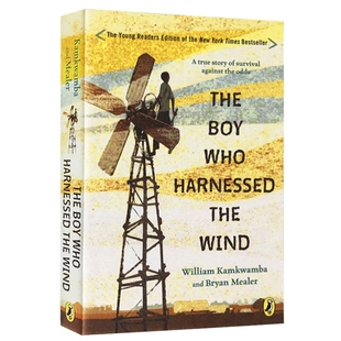 驭风少年 英文原版 The Boy Who Harnessed the Wind 美国前副总统阿尔戈尔推荐 纽约时报热销书 英文版进口英语书籍正版