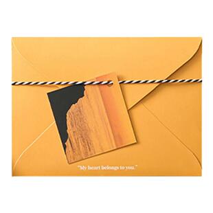 蔷薇海洋 晚霞月夜信纸信封 静谧风光之美 文艺表白祝福书信礼物