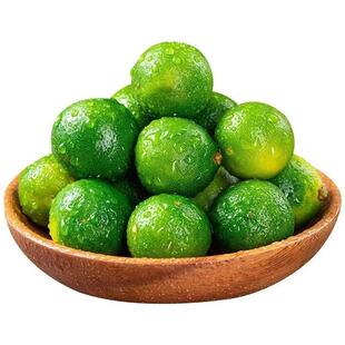 海南小青桔金桔新鲜青柠檬青柑皮薄多汁奶茶店专用鲜果金橘大果