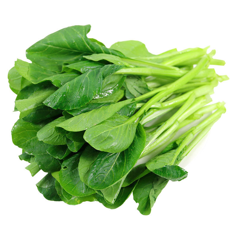 广良青油增城连州四季菜心