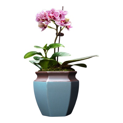 开片哥窑陶瓷创意中国风花盆