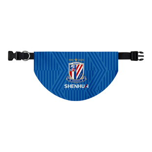 中超上海申花海港英博国安成都蓉城宠物口水巾狗狗猫咪围脖围兜