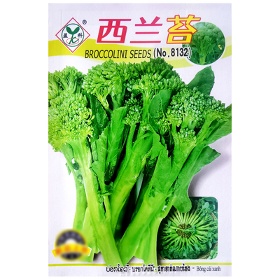 西兰苔种子芥兰西兰花台青花菜籽