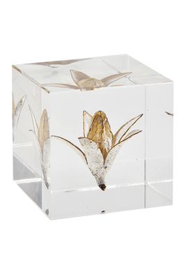 立方体植物标本永生花桌面摆件