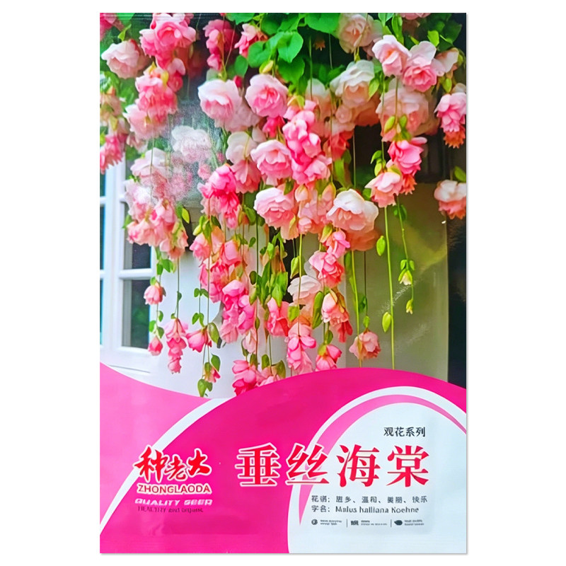 垂丝海棠种子花卉种子籽