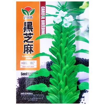 黑芝麻种子农家芝麻种籽春夏