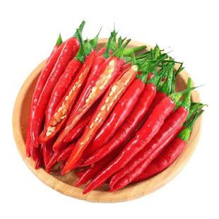 小米辣椒苗秧苗大全七彩魔鬼种子籽朝天薄皮青椒苗四季蔬菜苗盆栽