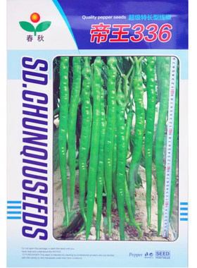 帝王336长果线椒种子浓香杭椒
