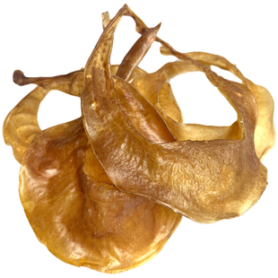 黄金甲靓货甲鱼裙边水鱼团鱼唇边鳖裙干货炒焖纯天然营养100-15头