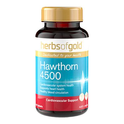 herbsofgold山楂精华片心脏健康