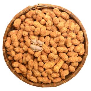 广东河源特产连平忠信农家自制红泥花生香脆可口原味带壳500g包邮