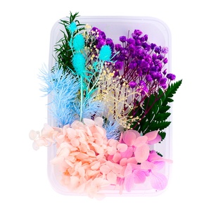 天然干花永生花假花仿真花儿童手工diy自制团扇贴画材料包幼儿园