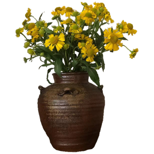 油画小菊鲜花云南直发室内插花水培花束花期超长黄色菊花鲜切花