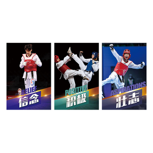 跆拳道馆装饰挂画少儿武术体育布置海报贴纸培训教室文化墙面壁画