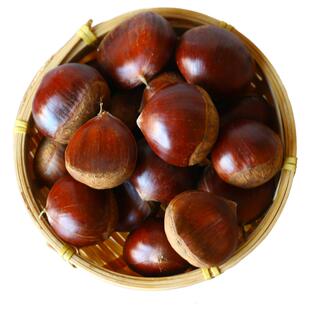 2025新鲜板栗丹东5斤鲜栗子生大嫩板粟锥栗野生批发 新油板栗仁