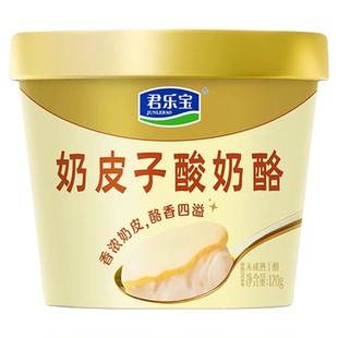 君乐宝奶皮子酸奶酪120gx6/9/12杯原味零食网红发酵乳制品零食