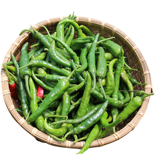 邳州新鲜辣椒徐州新沂本地薄皮尖辣椒子朝天椒小米椒螺丝椒现摘