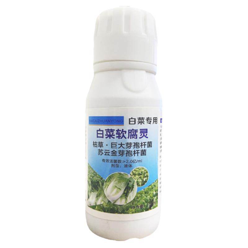 大白菜专用药白菜病全治烂根黄叶腐烂软腐病灰霉病腐烂灵病菌请灵