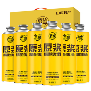 青岛特产精酿原浆啤酒礼盒装
